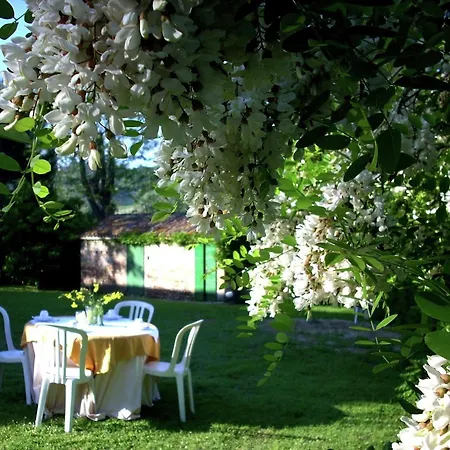 In Montemaggiore With Private Pool *